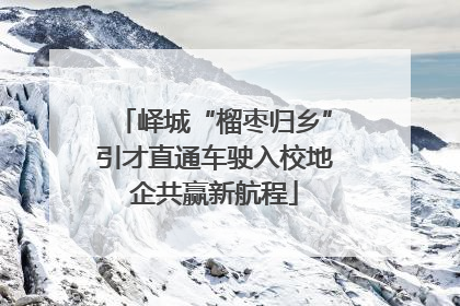 峄城“榴枣归乡”引才直通车驶入校地企共赢新航程