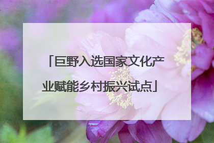 巨野入选国家文化产业赋能乡村振兴试点