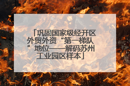 巩固国家级经开区外贸外资“第一梯队”地位——解码苏州工业园区样本