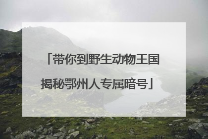 带你到野生动物王国揭秘鄂州人专属暗号