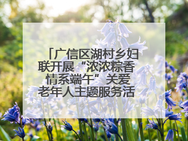 广信区湖村乡妇联开展“浓浓粽香 情系端午”关爱老年人主题服务活动（图）