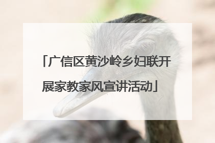 广信区黄沙岭乡妇联开展家教家风宣讲活动