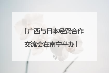广西与日本经贸合作交流会在南宁举办