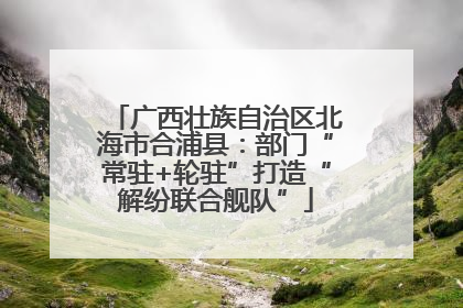 广西壮族自治区北海市合浦县：部门“常驻+轮驻”打造“解纷联合舰队”