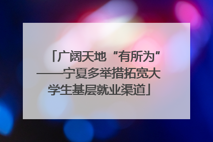 广阔天地“有所为”——宁夏多举措拓宽大学生基层就业渠道