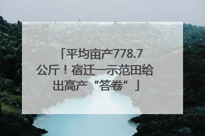 平均亩产778.7公斤！宿迁一示范田给出高产“答卷”
