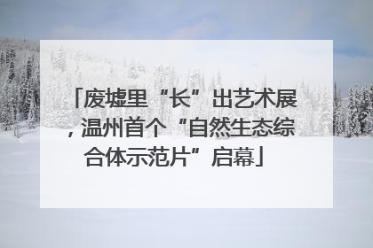 废墟里“长”出艺术展，温州首个“自然生态综合体示范片”启幕