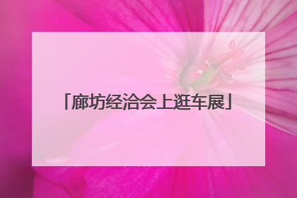 廊坊经洽会上逛车展