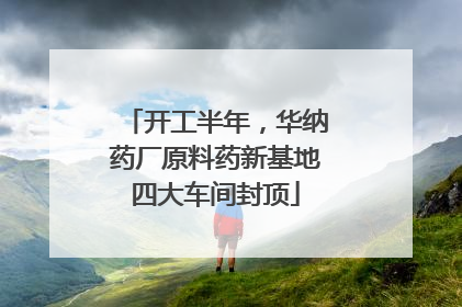 开工半年，华纳药厂原料药新基地四大车间封顶