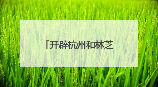 开辟杭州和林芝双向赋能新赛道｜2025年林芝经济开发区招商引资（杭州）推介展销活动在杭举办