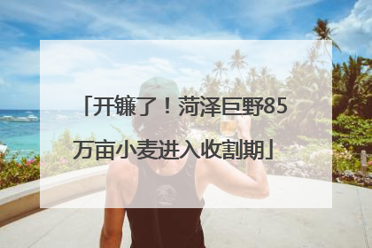 开镰了！菏泽巨野85万亩小麦进入收割期