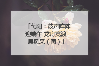 弋阳：鼓声阵阵迎端午 龙舟竞渡展风采（图）