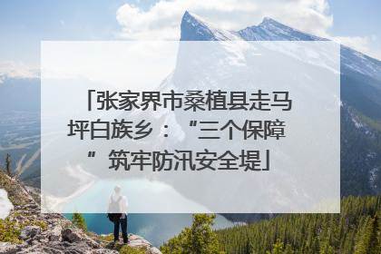 张家界市桑植县走马坪白族乡：“三个保障”筑牢防汛安全堤