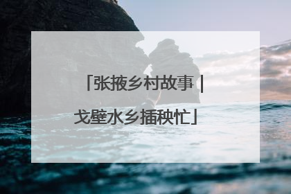 张掖乡村故事｜戈壁水乡插秧忙