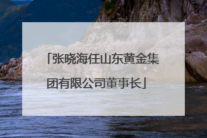张晓海任山东黄金集团有限公司董事长