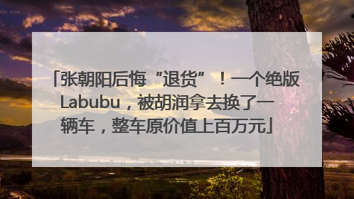 张朝阳后悔“退货”！一个绝版Labubu，被胡润拿去换了一辆车，整车原价值上百万元