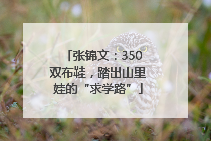张锦文：350双布鞋，踏出山里娃的“求学路”