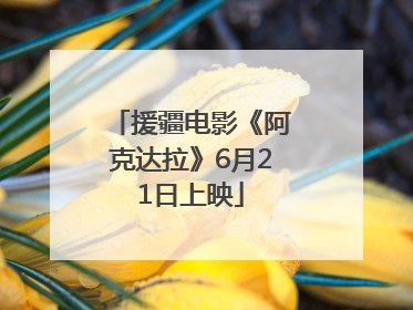 援疆电影《阿克达拉》6月21日上映