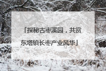 探秘古枣溪园，共赏东塔镇长枣产业风华