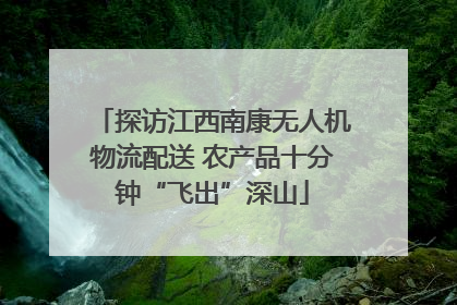 探访江西南康无人机物流配送 农产品十分钟“飞出”深山