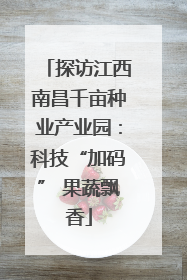 探访江西南昌千亩种业产业园：科技“加码” 果蔬飘香
