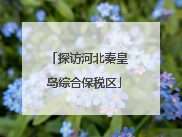 探访河北秦皇岛综合保税区