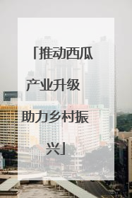 推动西瓜产业升级 助力乡村振兴
