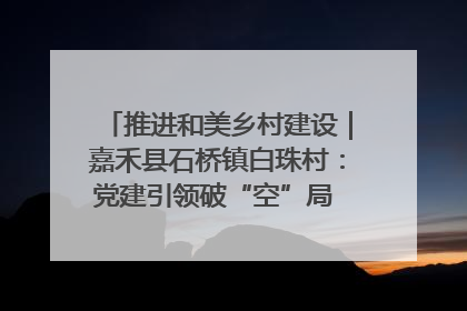 推进和美乡村建设｜嘉禾县石桥镇白珠村：党建引领破“空”局 乡贤聚力绘就新图景