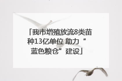 我市增殖放流8类苗种13亿单位 助力“蓝色粮仓”建设