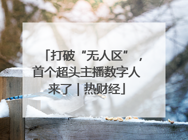 打破“无人区”，首个超头主播数字人来了｜热财经