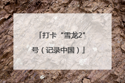 打卡“雪龙2”号（记录中国）