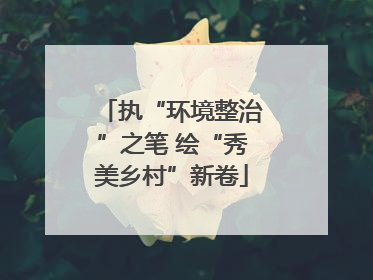 执“环境整治”之笔 绘“秀美乡村”新卷