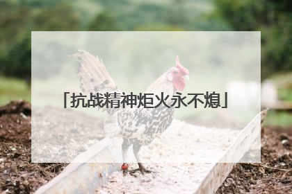 抗战精神炬火永不熄