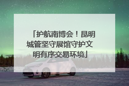 护航南博会！昆明城管坚守展馆守护文明有序交易环境