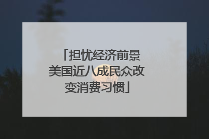 担忧经济前景 美国近八成民众改变消费习惯