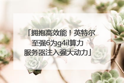 拥抱高效能！英特尔至强6为g4il算力服务器注入强大动力