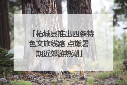 柘城县推出四条特色文旅线路 点燃暑期近郊游热潮