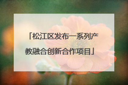 松江区发布一系列产教融合创新合作项目