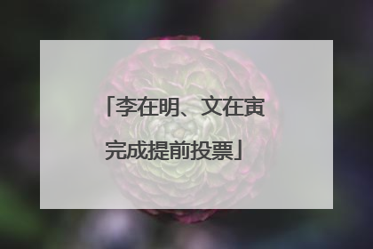 李在明、文在寅完成提前投票
