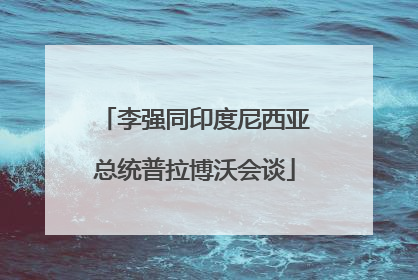 李强同印度尼西亚总统普拉博沃会谈