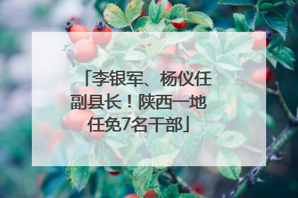 李银军、杨仪任副县长！陕西一地任免7名干部