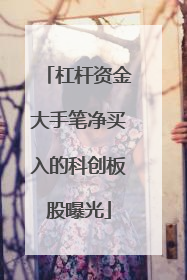 杠杆资金大手笔净买入的科创板股曝光