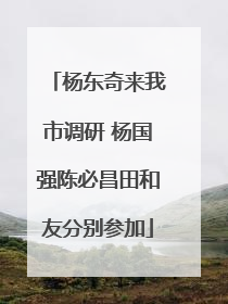 杨东奇来我市调研 杨国强陈必昌田和友分别参加
