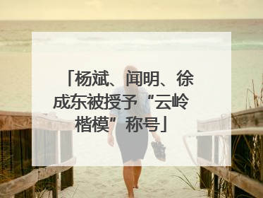 杨斌、闻明、徐成东被授予“云岭楷模”称号