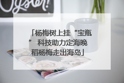 杨梅树上挂“宝瓶” 科技助力定海晚稻杨梅走出海岛