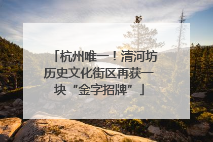 杭州唯一！清河坊历史文化街区再获一块“金字招牌”