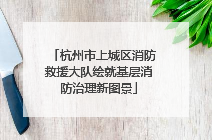 杭州市上城区消防救援大队绘就基层消防治理新图景