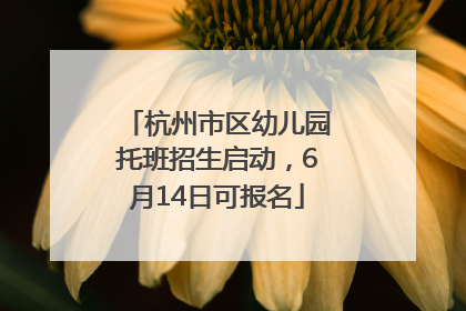 杭州市区幼儿园托班招生启动，6月14日可报名