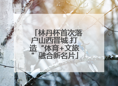 林丹杯首次落户山西晋城 打造“体育+文旅”融合新名片