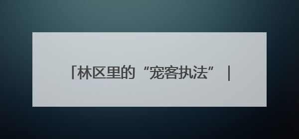 林区里的“宠客执法”｜湖北市场监管所的故事